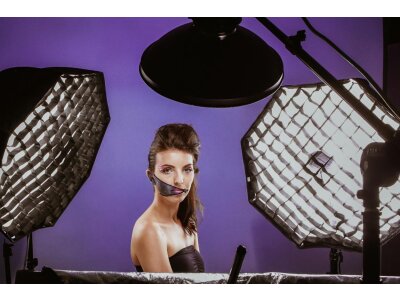 Voštinová mřížka