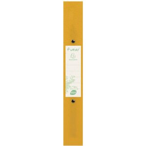 Segregator ringowy wykonany z recyklingowanego PP 700µ z 2 ringami 30mm, grzbiet 40mm, Forever, do formatu DIN A4, różne kolory