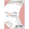 Pakiet 5 kart Grain de Pollen 105x148 mm Coral Powder