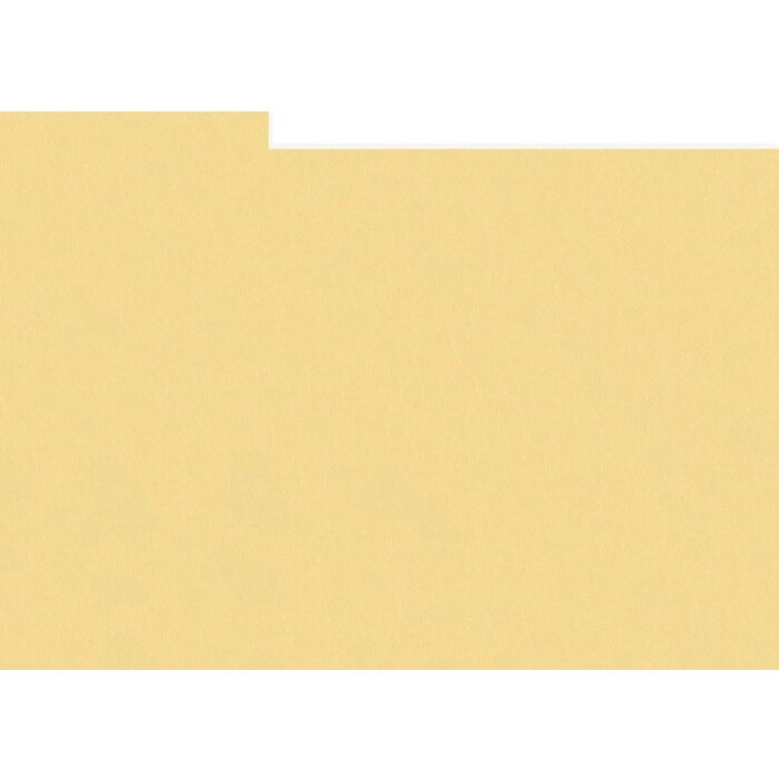 25 Karty separacyjne Photo Box Paglierino