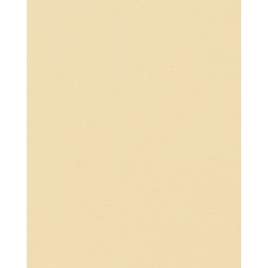 25 Karty separacyjne Photo Box Paglierino