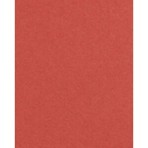 25 Karty rozdzielcze do kartonów zdjeciowych Rosso Veneziano