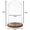Clayre & Eef 6GL1946 Glass Bell Jar 28 cm Wood Glass Round