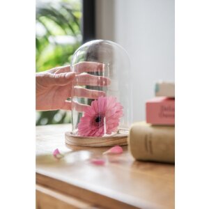 Szklany Bell Jar Clayre & Eef 6GL2168 - Ø...