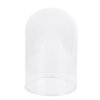 Szklany Bell Jar Clayre & Eef 6GL2168 - Ø 12x17 cm przezroczysty