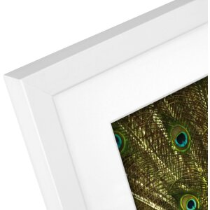 Rama drewniana Goldbuch Pino 20x25 cm biała z passe-partout 13x18 cm