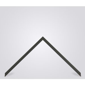 Rama drewniana Walther Valencia Antireflex Glass antracyt 50x100 cm