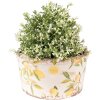 Clayre & Eef 6CE1533L Doniczka dekoracyjna Ø 19x10 cm Żółta
