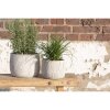 Clayre & Eef 6TE0403S Doniczka Ø 14x11 cm Grey - Beige
