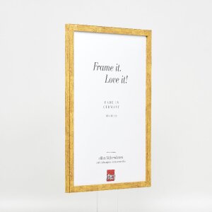 effect Bilderrahmen Profil 51 antikgold 25x50 cm mit Antireflexglas