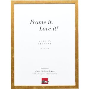 Effect Holzrahmen Profil 51 antikgold 14,8x21 cm...