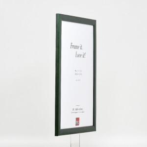 Rama na zdjęcia z drewna Profil 43, tannengrün, 30,5x91,5 cm, szkło muzealne