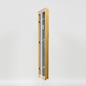 Ramka na zdjęcia w stylu barokowym Profil 44 gold, 25x80 cm, szkło muzealne