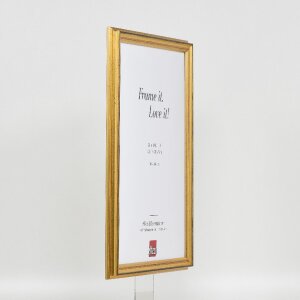 Ramka na zdjęcia effect Profil 44 złota 30,5x91,5 cm z szkłem muzealnym