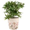 Clayre & Eef 6CE1555M Doniczka dekoracyjna Ø 14x13 cm różowo-beżowa