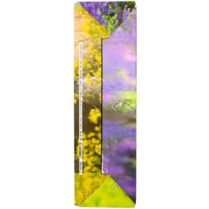 HERMA 19718 Stehsammler A4 Karton Pferde-Design Griffloch