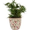 Clayre & Eef 6CE1631L Doniczka beżowo-czerwona Ø 16x16 cm Styl wiejski