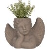 Clayre & Eef 6TE0401S Doniczka do wnętrz Angel Grey 23x13x17 cm