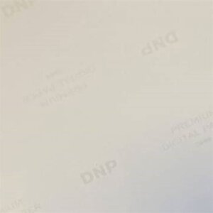 DNP Standard Paper DSRX1HS-4X6HS 2 rolki 700 szt. 10x15 do DS-RX1HS