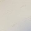 DNP Standard Paper DSRX1HS-4X6HS 2 rolki 700 szt. 10x15 do DS-RX1HS