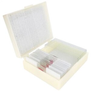 Cone Preparate Set Cell Reproduction Development 10 szt.