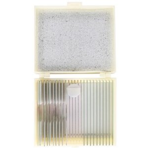 Cone Preparate Set Cell Reproduction Development 10 szt.