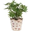 Clayre & Eef 6CE1664M Doniczka dekoracyjna Ø 16x15 cm beżowo-różowa