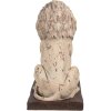 Clayre & Eef 6MG0043 Barokowa dekoracja lew beżowy 30x23x45 cm