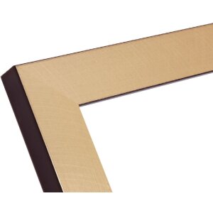Ramka na zdjęcia Deknudt S47BB2 złota/czarna 18x24cm plastikowa