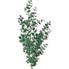 Clayre & Eef 5PL0084 Gałązka dekoracyjna zielona 8x3x70 cm