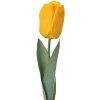 Clayre & Eef 6PL0235 Sztuczny kwiat tulipan żółty 6x6x50 cm