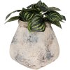 Clayre & Eef 6TE0532L Doniczka beżowa 18x18x17 cm