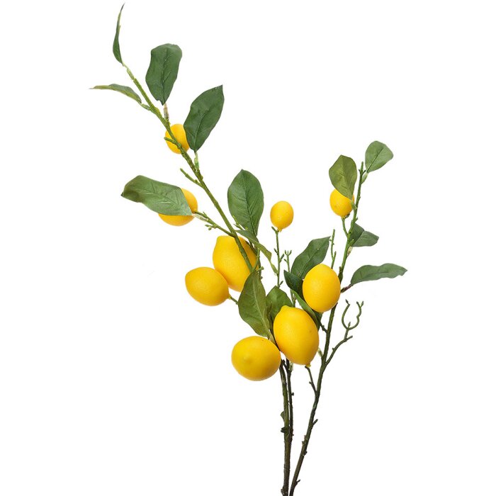 Clayre & Eef 5PL0105 Dekoracja gałązka z cytrynami 20x7x102 cm