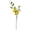 Clayre & Eef 5PL0105 Dekoracja gałązka z cytrynami 20x7x102 cm