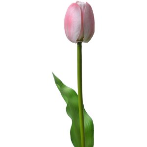 Clayre & Eef 6PL0311 Sztuczny tulipan różowy...