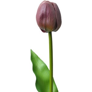 Clayre & Eef 6PL0312 Sztuczny kwiat Tulipan Fioletowy...
