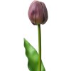 Clayre & Eef 6PL0312 Sztuczny kwiat Tulipan Fioletowy 4x4x32 cm