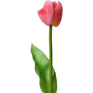 Clayre & Eef 6PL0313 Sztuczny kwiat Tulipan...