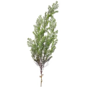 Clayre & Eef 5PL0087 Dekoracja gałązka cyprysu 10x10x100 cm