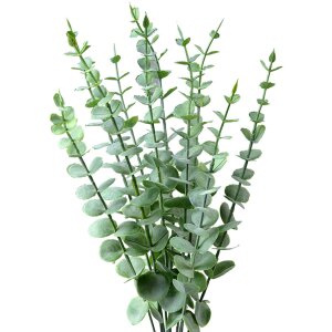 Clayre & Eef 6PL0278 Dekoracja Gałąź Zielona 10x8x50...