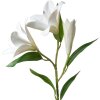 Clayre & Eef 5PL0119W Gałązka dekoracyjna Kwiaty Biała 17x12x71 cm Plastik