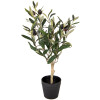 Clayre & Eef 6PL0370 Drzewko dekoracyjne Zielony Plastik 15x15x50 cm