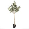 Clayre & Eef 5PL0149 Drzewko dekoracyjne zielone 20x20x90 cm plastik