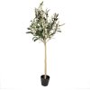 Clayre & Eef 5PL0149 Drzewko dekoracyjne zielone 20x20x90 cm plastik