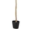 Clayre & Eef 5PL0149 Drzewko dekoracyjne zielone 20x20x90 cm plastik