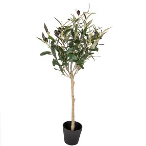 Clayre & Eef 5PL0150 Drzewko dekoracyjne zielone 15x15x70 cm