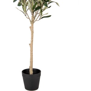 Clayre & Eef 5PL0150 Drzewko dekoracyjne zielone 15x15x70 cm