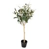 Clayre & Eef 5PL0150 Drzewko dekoracyjne zielone 15x15x70 cm