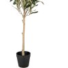 Clayre & Eef 5PL0150 Drzewko dekoracyjne zielone 15x15x70 cm
