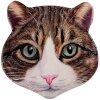 Clayre & Eef 6CE2065 Mata do patelni Cat Ceramic Brown 20x20 cm Country House